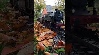 Herbstdampf 🚂☺️ eisenbahn train gardenrailway garten gartenbahn herbst spurg [upl. by Sari]