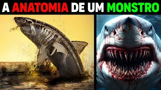 A BIOLOGIA INSANA DO Grande Tubarão Branco [upl. by Bois175]