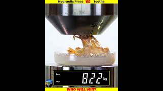 Different Teeth Vs Hydraulic Press shorts whatif uniqueexperiment मजेदारविडिओ [upl. by Mohamed778]