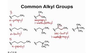 Common Alkyl Groups [upl. by Ingemar]