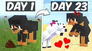 A Day in a Life of a Dog in Minecraft [upl. by Nytram711]