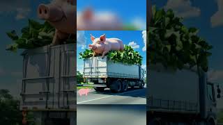 Funny Pig on the Roadfunny funnyshorts shorts youtubeshorts [upl. by Severin]