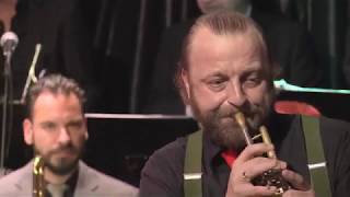 Bulgarian Bulge  Zurich Jazz Orchestra feat Thomas Gansch [upl. by Assilla]