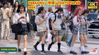 4k hdr japan travel 2024  Walk in Harajuku（原宿）Tokyo japan  Relaxing Natural City ambience [upl. by Ahseka]