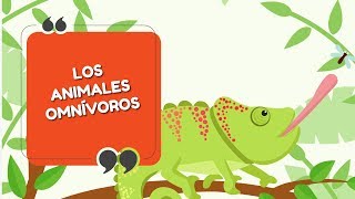 Animales Omnívoros  Explicación sencilla  E9 – T0 [upl. by Refinne811]