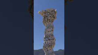 3D animation of a column shorts 3danimation 3d animation [upl. by Red524]