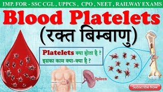 Blood platelets in hindi  platelets  Biology gk trick  SSC CGL CHSL  RAILWAY EXAM [upl. by Ashatan]