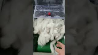 alpaca fiber small carding machine [upl. by Janina645]