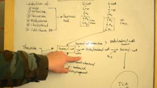 Proprionic Acidemia  Simplified Explanations for USMLE Step 1 [upl. by Liebowitz]