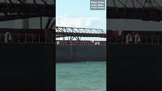 shorts Mark W Barker 195m Ship In St Clair River At Bottom End Of Lake Huron ships [upl. by Adraynek]