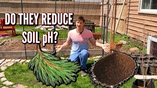 Do Pine Needles or Coffee Grounds LOWER Soil pH [upl. by Oiril]