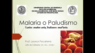 Malaria  Paludismo 2  Catedra Parasitología EJMV UCV [upl. by Onaicul120]