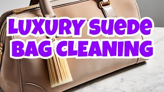 Ultimate Guide Clean Suede Luxury Handbag [upl. by Voletta]