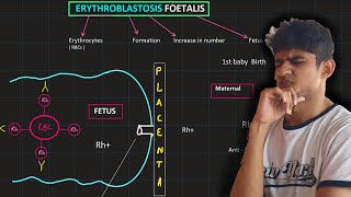 Multiple alleles  ABO  Erythroblastosis fetalis  MDCAT Biology [upl. by Orravan]