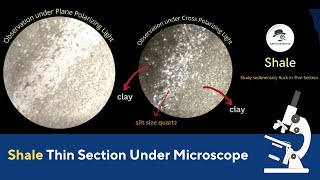 Shale Thin Section under Microscope with optical Properties of Rocks [upl. by Averil]