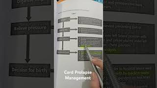 Cord Prolapse Management Part 2 [upl. by Martel]