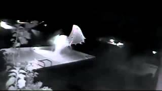 UFO  Strange light caught above Florida swimming pool [upl. by Assenat]