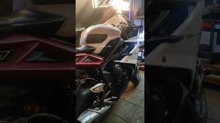 Daytona 675R sound 🔥🔥 automobile motorcycle rider superbike [upl. by Nauqaj]