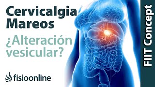 Tratamiento para dolor cervical con mareos provocado por una alteración de la vesícula biliar [upl. by Nered]