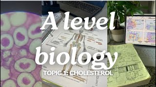 A level biology edexcel A SNAB Topic 1 Cholesterol [upl. by Corly]