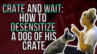 CRATE amp WAIT HOW TO DESENSITIZE A DOG OF THE CRATE [upl. by Hay]