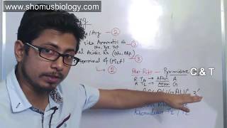 Peptide sequencing problem  CSIR NET analytical problems for Part C [upl. by Rigdon470]