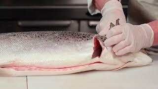 How to Fillet a Salmon [upl. by Trotta]