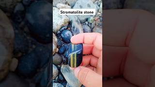 stromatolites 200k stone shorts viralshorts youtubeshorts gemstones diamond crystals [upl. by Odrude772]