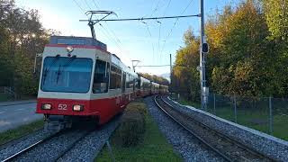 Durchfahrt vo de S18 Schnelzug nach Esslingen in Zollikon Waldburg [upl. by Eilama357]