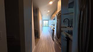 A535 1Bx1B urban one bedroom  Maris apartments [upl. by Star355]