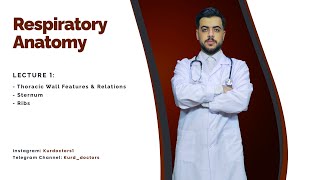 Respiratory System  Anatomy Part 1 [upl. by Rehm]