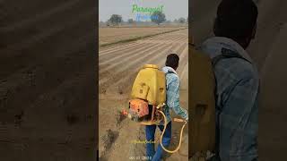 Herbicide Remove by 2nd Spray on Potatoes cpri farming khokiyabiotech [upl. by Otrebire]