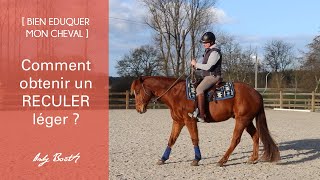 EDUCATION Comment obtenir un reculer léger à cheval [upl. by Aiuqet]