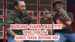 NGOBROL SANTAI DENGAN OWNER NSFMUTIARAMRFAHMI AULANI [upl. by Nomead]