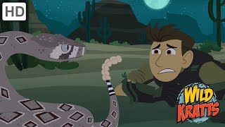 Wild Kratts  The Wildlife Adventure  Kids Videos [upl. by Penthea]