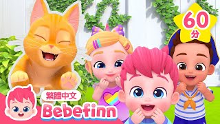 貓咪歌 😺 1小時 連續播放 喵喵 The Cat Song  台灣配音 經典兒歌 童謠  貝貝彬 Bebefinn 繁體中文 [upl. by Meluhs]