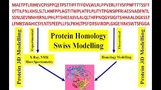 Protein homology  Swiss Modeling  how to predict 3D structure of your protein Protein 3D modeling [upl. by Annaira]