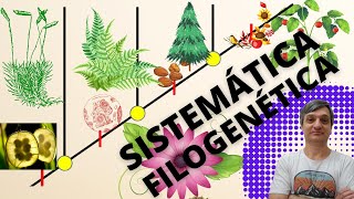 Sistemática filogenética [upl. by Lundeen406]