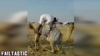 Arabic Funny Video Collection  Failtastic 2017 [upl. by Lib]