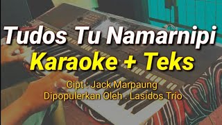 TUDOS TU NA MARNIPI KARAOKE LIRIK  LAGU BATAK POPULER [upl. by Neeuq]