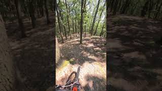 Freeride mtb on ebike trekbikes rail ebike enduro mtb ride nature bosch cx insta360go3 [upl. by Bowrah]