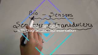 Bio Sensor explanation with Diagramatic representation [upl. by Glynias]