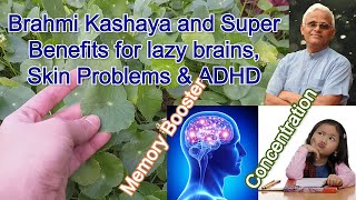 Brahmi leaves kashayam  Memory Booster Skin problems amp ADHD  Dr Khadar Lifestyle [upl. by Eivets]