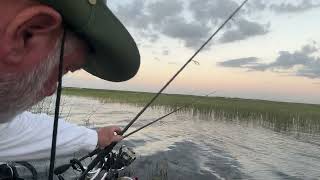 Shiner fishing Lake Okeechobee [upl. by Ynnhoj]