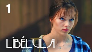 Libélula  Capítulo 1  Película en Español Latino [upl. by Aciretnahs776]