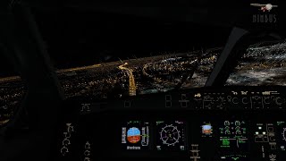 Nimbus Simulation JFK XP12  Canarsie approach [upl. by Folger]