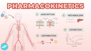 Pharmacokinetics Absorption Distribution Metabolism amp Excretion [upl. by Nyrek]