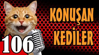 Konuşan Kediler 106  En Komik Kedi Videoları [upl. by Avir]