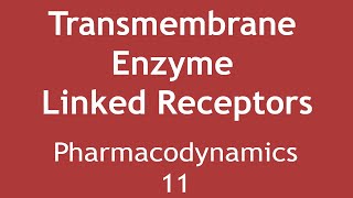 Transmembrane Enzyme Linked Receptors Pharmacodynamics Part 11  Dr Shikha Parmar [upl. by Macknair956]