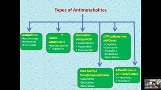 Anticancer Antimetabolites agent Medicinal Chemistry [upl. by Ahsiena634]